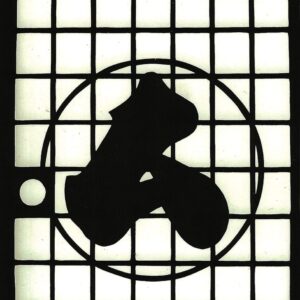 in praise of shadows