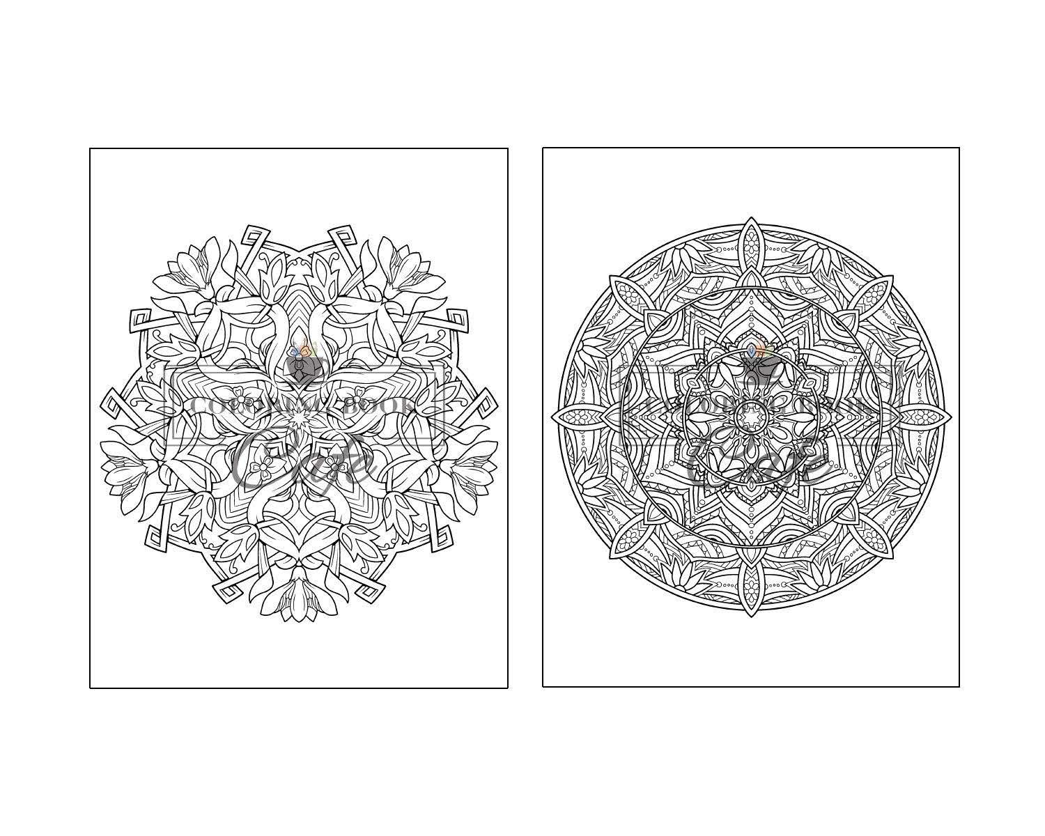 125 mandalas: an adult coloring book featuring 125 of the world’s most beautiful mandalas for stress relief and relaxation 125 mandalas: an adult coloring book featuring 125 of the world’s most beautiful mandalas for stress relief and relaxation