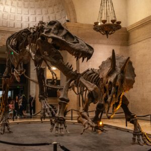 Historical & Biographical